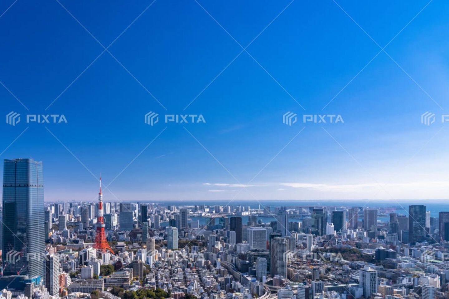 事業紹介